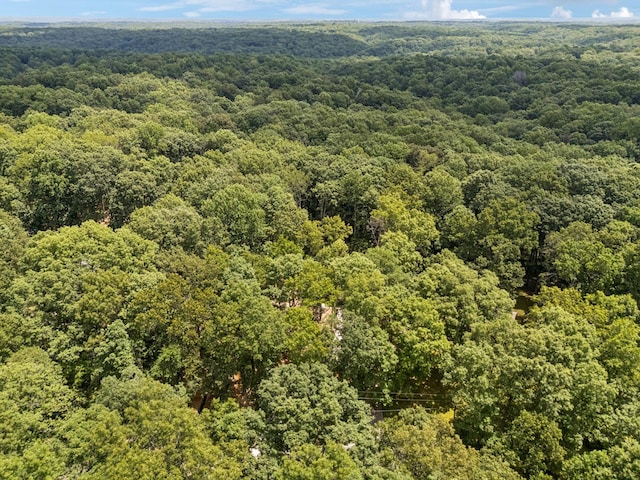 1007 Pheasant Ct, Kingston Springs, TN 37082 - drone / aerial view of a heavily wooded area