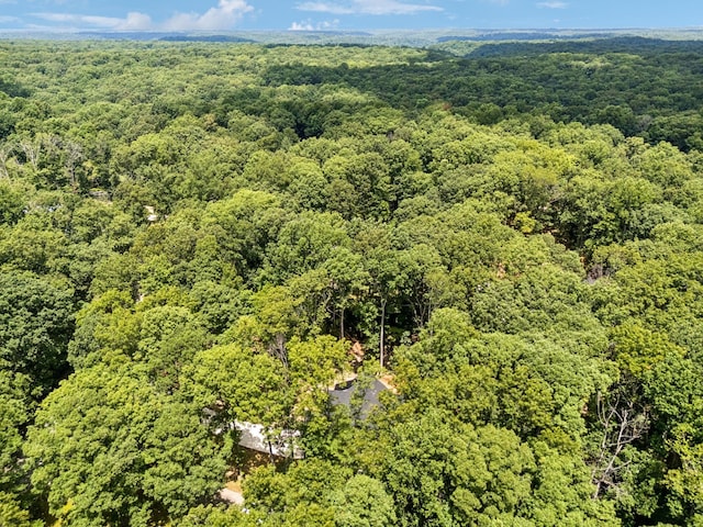 1007 Pheasant Ct, Kingston Springs, TN 37082 - drone / aerial view of a heavily wooded area