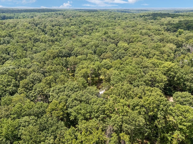 1007 Pheasant Ct, Kingston Springs, TN 37082 - drone / aerial view of a forest