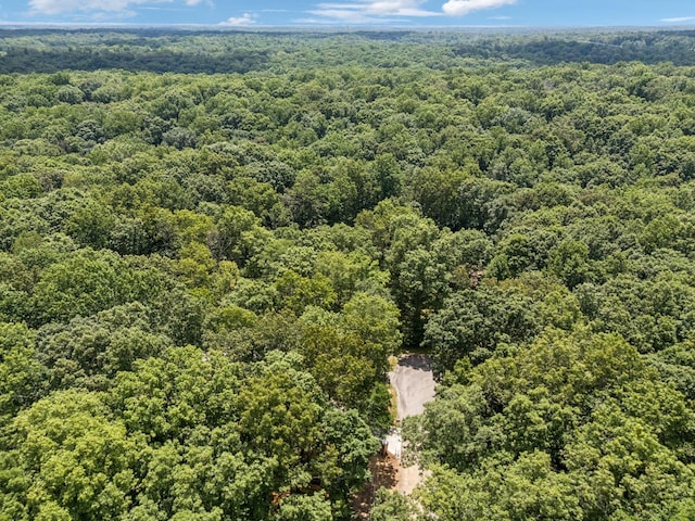 1007 Pheasant Ct, Kingston Springs, TN 37082 - bird's eye view of a forest