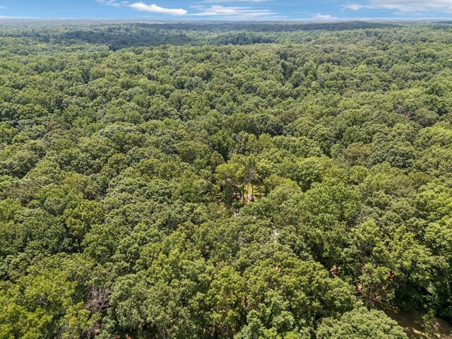 1007 Pheasant Ct, Kingston Springs, TN 37082 - aerial view of a forest