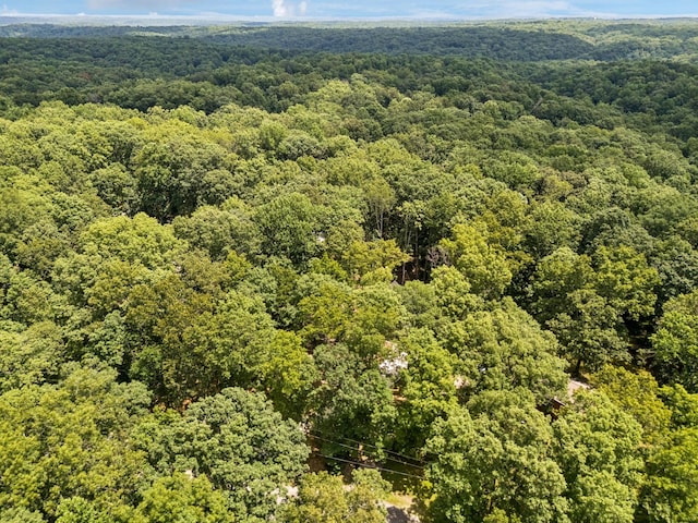 1007 Pheasant Ct, Kingston Springs, TN 37082 - drone / aerial view of a heavily wooded area
