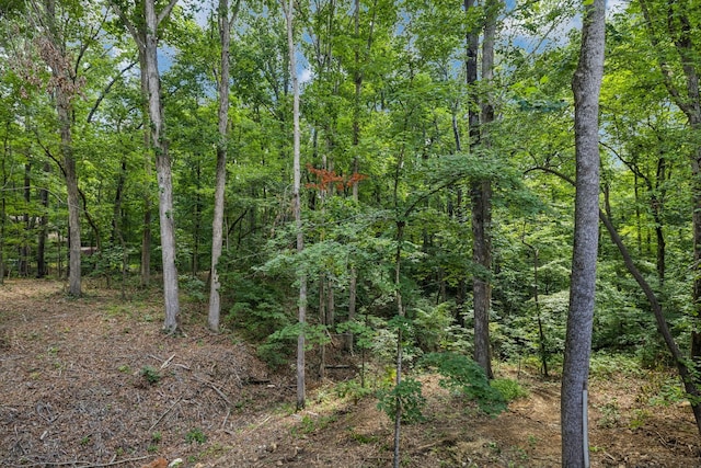 1007 Pheasant Ct, Kingston Springs, TN 37082 - view of wooded area