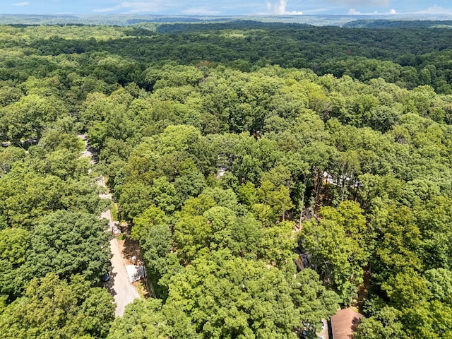1007 Pheasant Ct, Kingston Springs, TN 37082 - bird's eye view of a forest