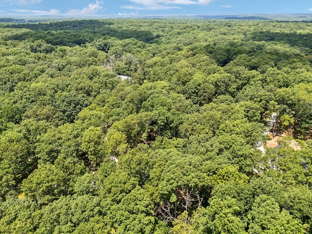 1007 Pheasant Ct, Kingston Springs, TN 37082 - drone / aerial view of a heavily wooded area