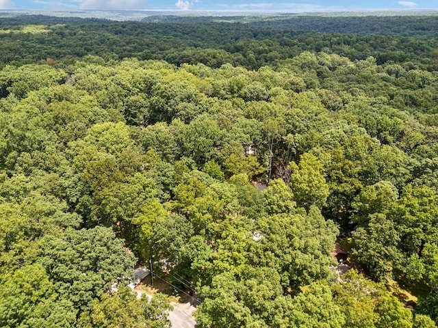 1007 Pheasant Ct, Kingston Springs, TN 37082 - bird's eye view of a forest