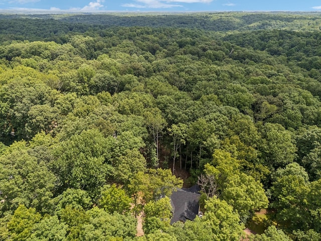 1007 Pheasant Ct, Kingston Springs, TN 37082 - drone / aerial view of a heavily wooded area