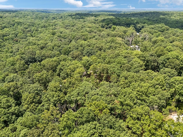 1007 Pheasant Ct, Kingston Springs, TN 37082 - bird's eye view of a heavily wooded area