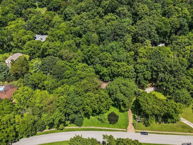 2011 Sunny Side Dr, Brentwood, TN 37027 - photo 49