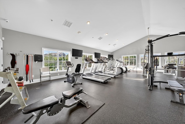 751 Pebble Creek Ln, Lebanon, TN 37090 - exercise room featuring vaulted ceiling and baseboards