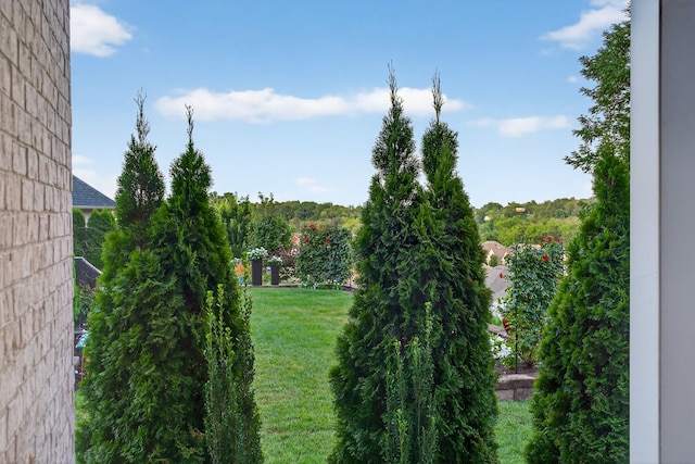 751 Pebble Creek Ln, Lebanon, TN 37090 - view of grassy yard