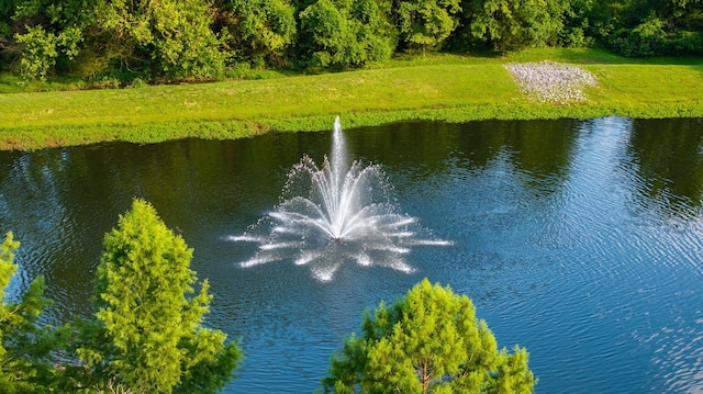 751 Pebble Creek Ln, Lebanon, TN 37090 - water view