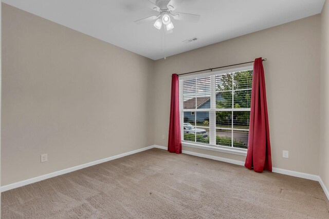2629 Conti Dr, Columbia, TN 38401 - photo 19