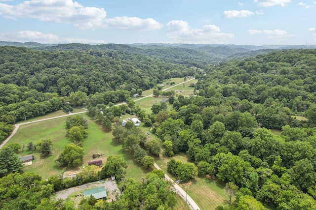 5438 Lickton Pike, Goodlettsville, TN 37072 - photo 75