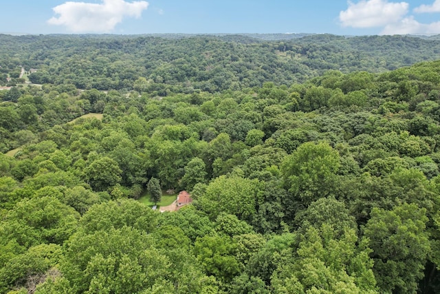5438 Lickton Pike, Goodlettsville, TN 37072 - photo 76