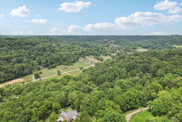 5438 Lickton Pike, Goodlettsville, TN 37072 - photo 73