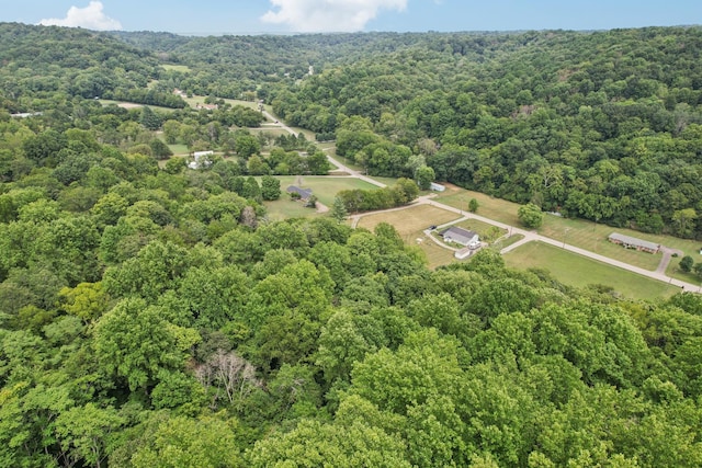 5438 Lickton Pike, Goodlettsville, TN 37072 - photo 84