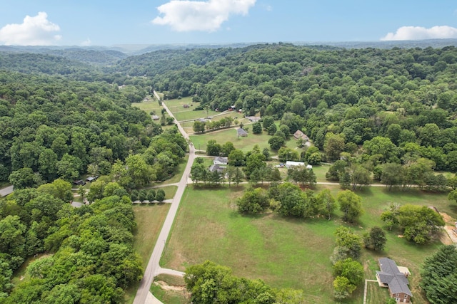 5438 Lickton Pike, Goodlettsville, TN 37072 - photo 74