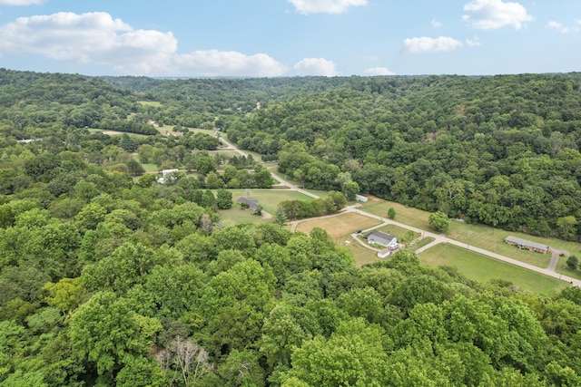 5438 Lickton Pike, Goodlettsville, TN 37072 - photo 85