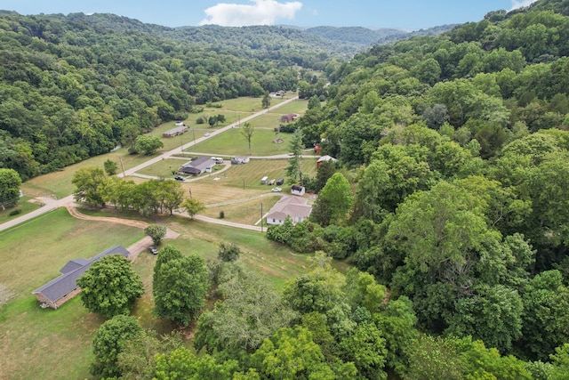 5438 Lickton Pike, Goodlettsville, TN 37072 - photo 87