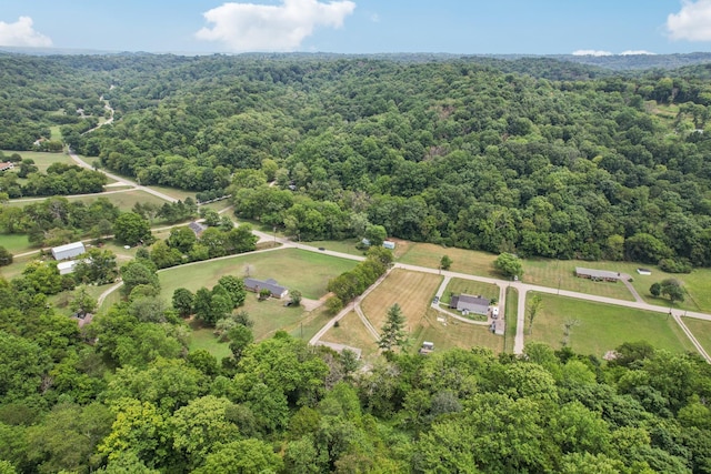 5438 Lickton Pike, Goodlettsville, TN 37072 - photo 77