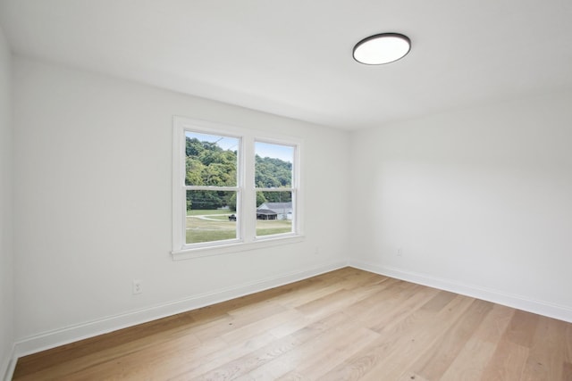 5438 Lickton Pike, Goodlettsville, TN 37072 - photo 48