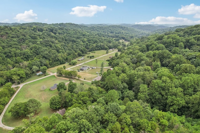 5438 Lickton Pike, Goodlettsville, TN 37072 - photo 86
