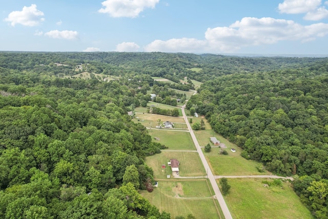 5438 Lickton Pike, Goodlettsville, TN 37072 - photo 83