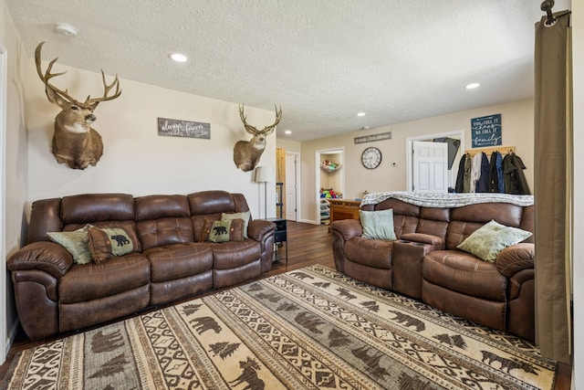 906 Freeman St, Lafayette, TN 37083 - living room with a textured ceiling, wood finished floors, and recessed lighting