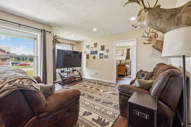 906 Freeman St, Lafayette, TN 37083 - living room featuring wood finished floors, a textured ceiling, and recessed lighting