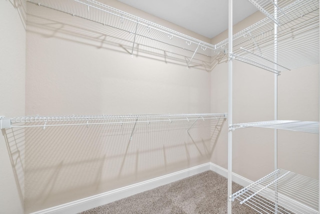 149 Irish Hills Dr Unit 149, Clarksville, TN 37042 - photo 20
