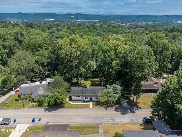 183 Outer Dr, Oak Ridge, TN 37830 - photo 43