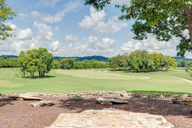 147 Front St, Franklin, TN 37064 - photo 60