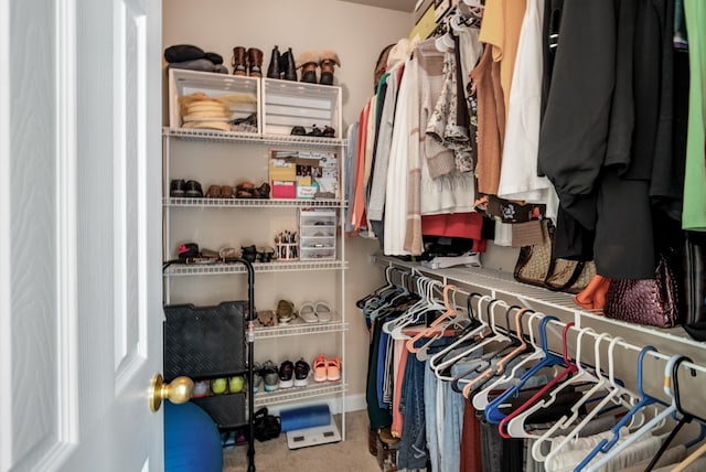 4305 Minette Ct, Mount Juliet, TN 37122 - spacious closet with carpet floors
