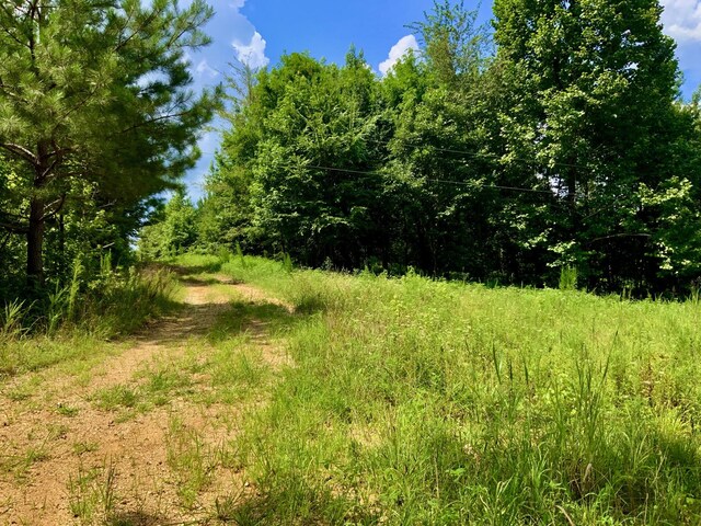 806 Pettijohn Creek Rd, Henry, TN 38231 - photo 13
