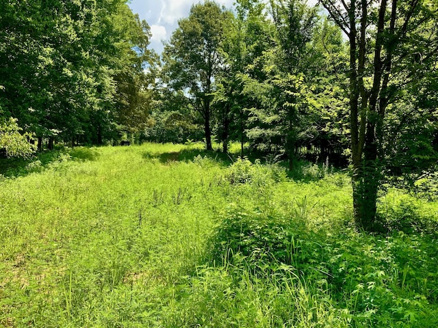 806 Pettijohn Creek Rd, Henry, TN 38231 - photo 7