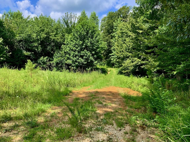 806 Pettijohn Creek Rd, Henry, TN 38231 - photo 12