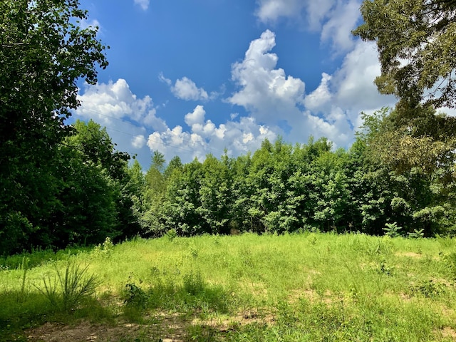 806 Pettijohn Creek Rd, Henry, TN 38231 - photo 11