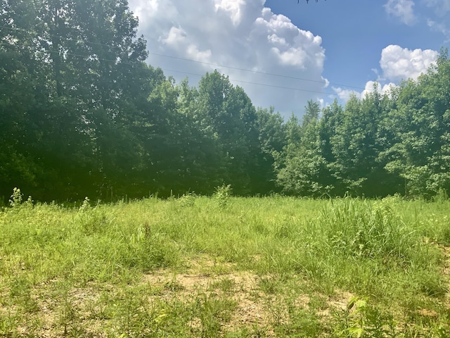 806 Pettijohn Creek Rd, Henry, TN 38231 - photo 15