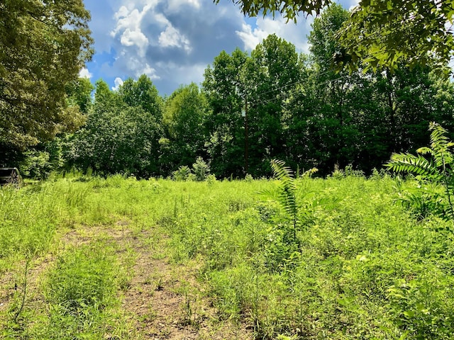 806 Pettijohn Creek Rd, Henry, TN 38231 - photo 4