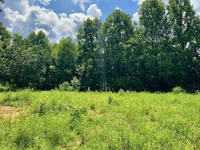 806 Pettijohn Creek Rd, Henry, TN 38231 - photo 8
