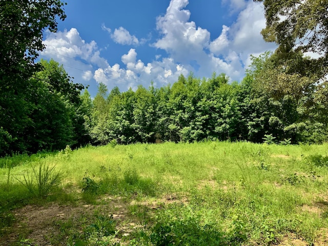 806 Pettijohn Creek Rd, Henry, TN 38231 - photo 10