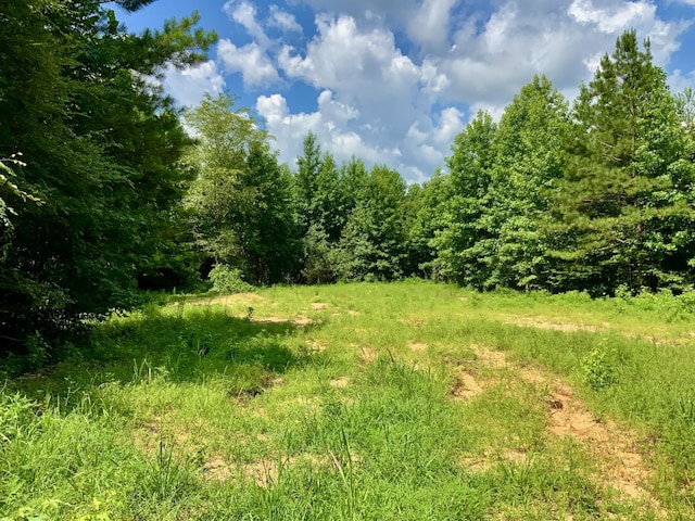 806 Pettijohn Creek Rd, Henry, TN 38231 - photo 1