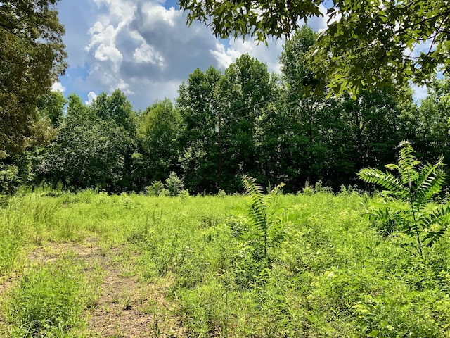 806 Pettijohn Creek Rd, Henry, TN 38231 - photo 5
