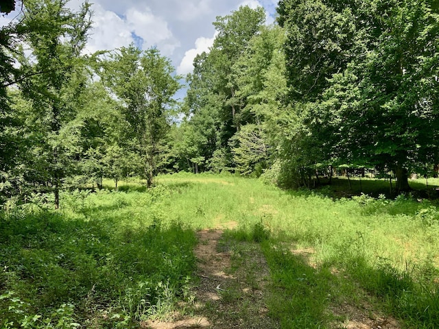 806 Pettijohn Creek Rd, Henry, TN 38231 - photo 2