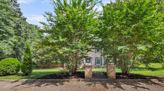 951 Ridgewood Dr, Clarksville, TN 37043 - photo 2