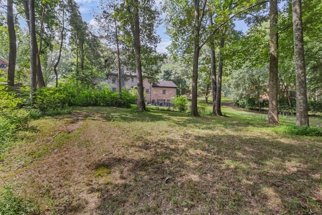 951 Ridgewood Dr, Clarksville, TN 37043 - photo 60