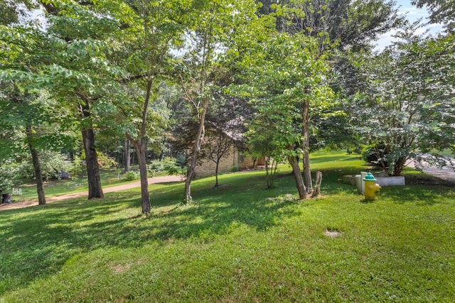 951 Ridgewood Dr, Clarksville, TN 37043 - photo 7