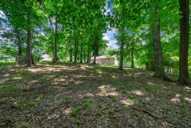 349 Harold Dr, Clarksville, TN 37040 - photo 32