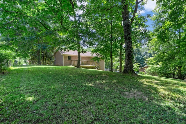 349 Harold Dr, Clarksville, TN 37040 - photo 33